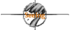 Seeing